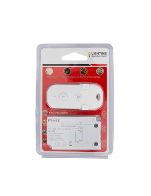controle claro remoto 500W prático 1000W do rádio de 220V 120V